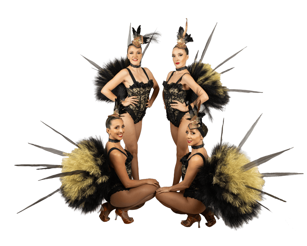 revue cabaret plumes perpignan